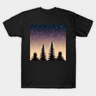 A sky full of stars at dusk T-Shirt